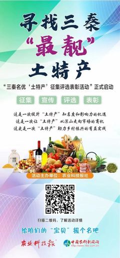三秦“最靚”土特產(chǎn)展播（三十四） 匠心孕育，淳樸天然的秦風(fēng)佳品